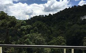 Apartamento Morro do Elefante